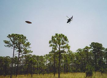 UFO
                        over Gulf Breeze, Florida