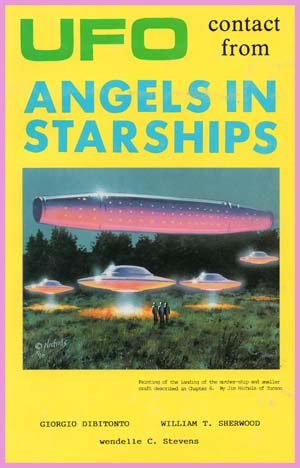 AngelsInStarships